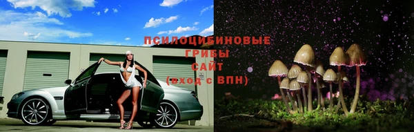 ешки Фёдоровский