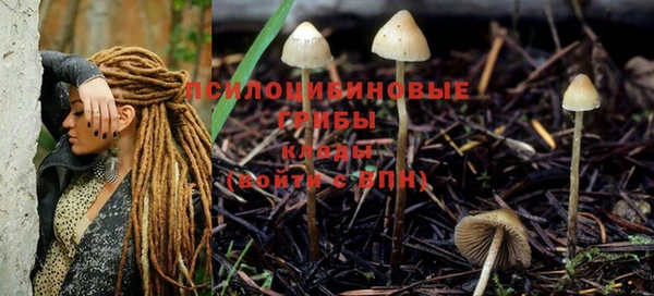 бутират Нестеровская