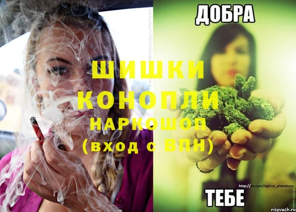 эйфоретик Богородск
