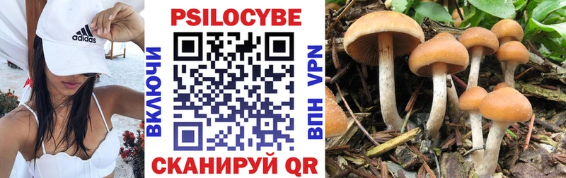 хочу   Кимовск  Галлюциногенные грибы мухоморы 